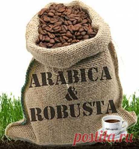 Арабика составляет 70% всего производимого кофе, а также этот вид кофе самый дорогой.
