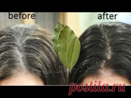 седые волосы превращаются в черные волосы естественно навсегда через 4 минуты, 100% эффективность