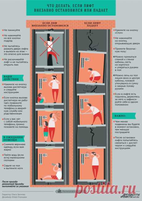 Что делать, если лифт внезапно остановился или падает. Инфографика-памятка