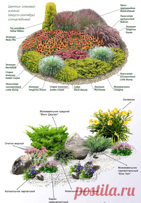 Цветники из многолетников: фото, видео, схемы посадки, виды клумб и цветов