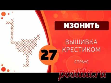 27 - Вышивка крестом. Страус