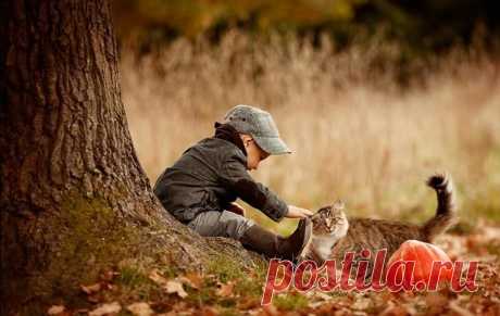 Фотограф, в которого влюблены дети и животные