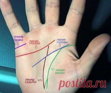 Как погадать: гадание по руке - хиромантия? Хиромантия: значение основных линий при гадании на руке для начинающих. Хиромантия, знаки на руке и их значение в судьбе каждого человека 100% Гадания и предсказания Хиромантия для начинающих: значение линий при гадании по руке. Хиромантия, (знаки на руке) и их значение известна еще с древности. Практикуемое знание имеет
