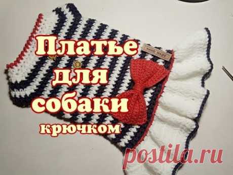 Платье для собаки крючком,  Dress for dog, DIY