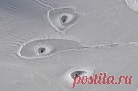 Ученые обнаружили таинственные дыры во льдах Арктики При облете Арктики исследовательский самолет обнаружил странные круглые отверстия на поверхности ледяного покрова