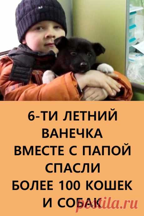 6-летний Ванечка вместе с папой спасли более 100 кошек и собак! Во Владикавказе проживает уникальная по человечности и доброте семья. Знакомьтесь, этого мальчика зовут Ваня Шапранов.

#дети #доброта #животные