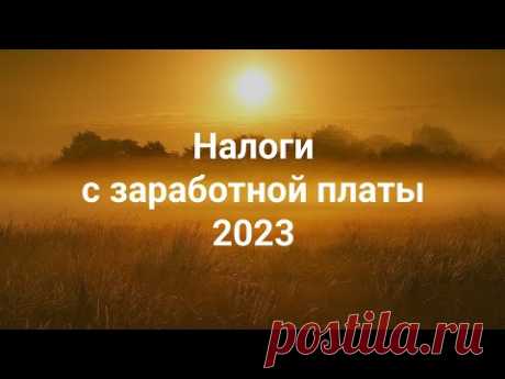 НДФЛ и страховые взносы 2023 + 📚Удобная статья-справочник + 🔥Бесплатный ПРАКТИКУМ на Stepik!