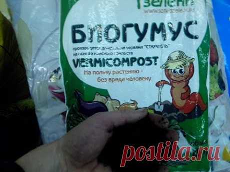 Вермикомпост (Биогумус) вносим в теплице и в огороде только локально для большей эфективности