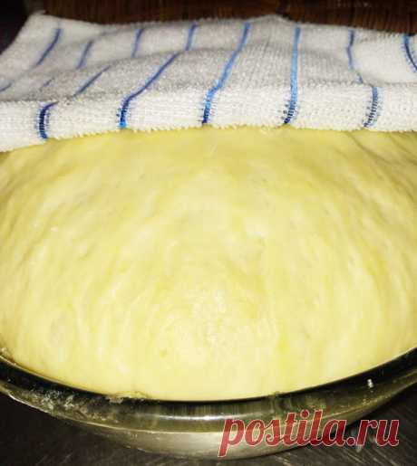 Дрожжевое тесто для пирогов, куличей, пирожков - рецепт с фото пошагово