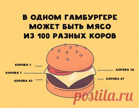 Каждый год в один день ваш шанс уйти в мир иной выше на 14%, чем в любой другой. Неожиданные факты наглядно | Супер! | Яндекс Дзен