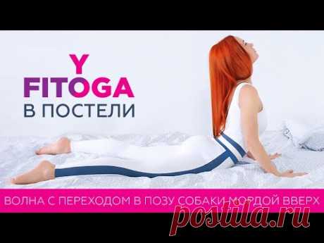 FITOYOGA В ПОСТЕЛИ | Волна с переходом в позу собаки мордой вверх | Фитнес и йога дома