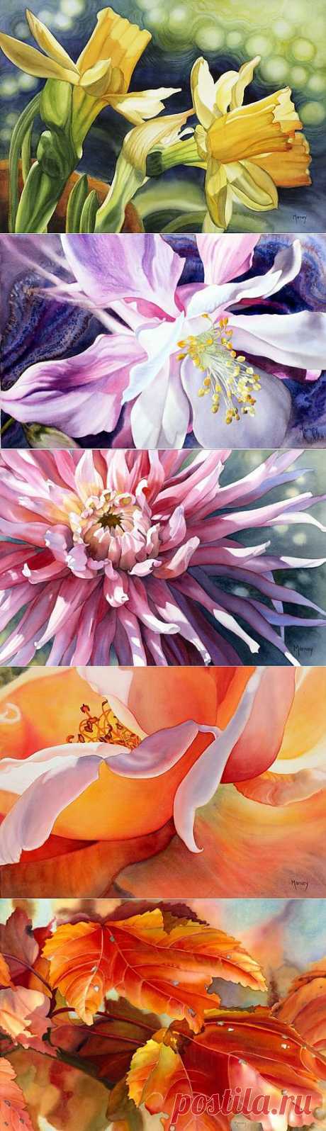 Канадская художница Marney Ward. Картины цветов акварелью | Usenkomaxim.ru