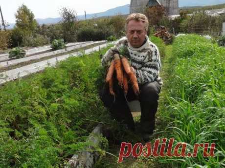 Подкормки для вашего огорода от Игоря Лядова