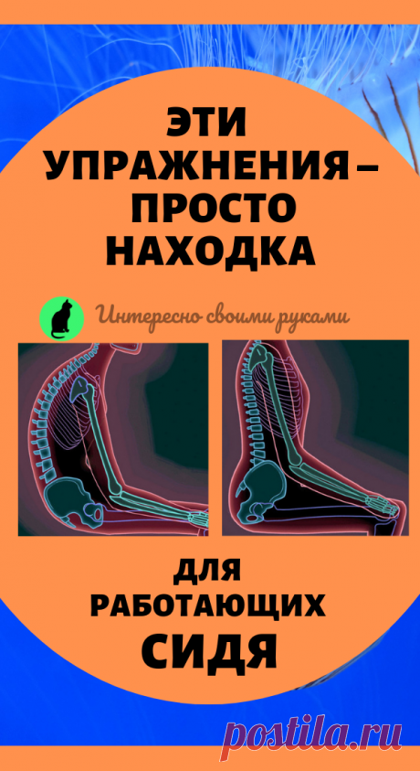 Эти упражнения – просто находка для работающих сидя. Здоровье и красота в домашних условиях