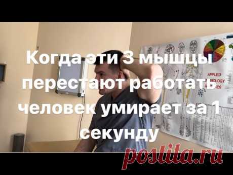 Когда эти 3 мышцы перестают работать человек умирает за 1 секунду. Быстрее проверь их у себя - YouTube