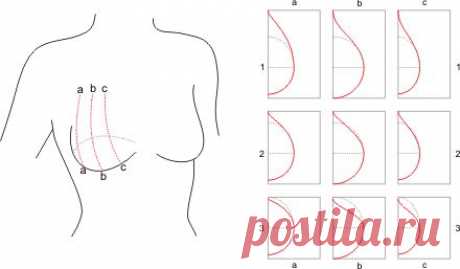 Бюстгальтер Блок «Pattern Школа