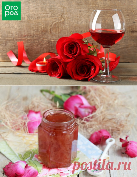 Что можно приготовить из лепестков роз – рецепты варенья, вина, настоек | Статьи (Огород.ru)