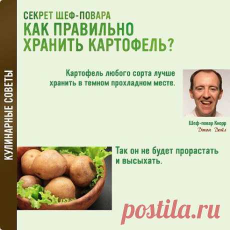 Как правильно хранить картофель? Картофель любого сорта лучше хранить в темном прохладном месте. Так он не будет прорастать и высыхать.