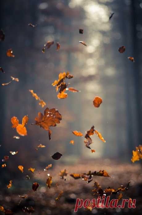 Осень.Взято из tumblr