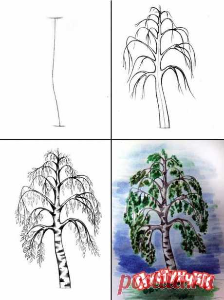 Рисунок дерево 2 класс – Презентация к уроку по изобразительному искусству (ИЗО, 2 класс) на тему: Презентация "Учимся рисовать деревья. Осенняя березка" |  Уроки рисования для начинающих, мультики, раскраски.