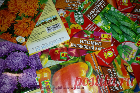 Не кормите мошенников! Как купить качественные семена в пакетике — 8 важных надписей, о которых следует знать!