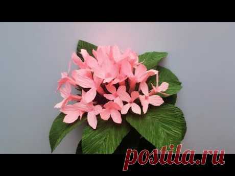 ABC TV | How To Make Bouvardia Paper Flowers From Crepe Paper - Craft Tutorial