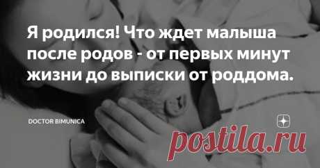 Я родился! Что ждет малыша после родов - от первых минут жизни до выписки от роддома. Статья автора «Doctor Bimunica» в Дзене ✍: Обычно будущие мамы пристально изучают вопрос беременности, перинатальных скринингов и самих родов, а на то, что ждет их и малыша в послеродовом отделении...