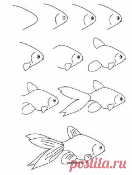 Схемы рисования животных и птиц и рыб . Сохраняйте на своей стене, делитесь с друзьями и рисуйте вместе с ребенком.