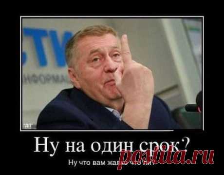 Предлагаю назначить Жириновского ПРЕЗИДЕНТОМ Украины ....!!!! ЕВРОПА остынет..... Обама- ЗАСТРЕЛИТСЯ..!!! ))
