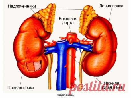 Здоровье - Группы Мой Мир