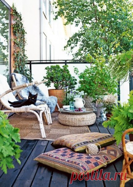 Сад на балконе: как декорировать стены и какие растения выбрать | Наш уютный дом