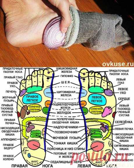Как лук в носках может изменить вашу жизнь - Простые рецепты Овкусе.ру