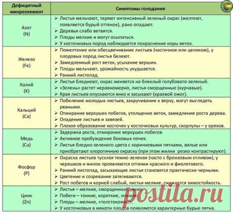 Дефицит того или иного элемента у плодовых и симптомы нехватки