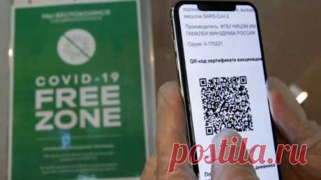 Где взять QR-код вакцинации, как сохранить его в смартфоне и быстро показать - AndroidInsider.ru