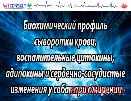 Ожирение собак. Биохимический профиль сыворотки крови, воспалительные цитокины, адипокины и сердечно-сосудистые изменения