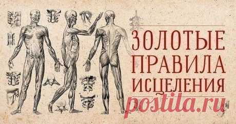 &quot;Эти золотые правила самоисцеления работают лучше лекарств…&quot;

Человеческий организм — сложнейшая из систем. Порой мы даже и не догадываемся, на что способны. Сила слова и человеческой мысли обладают невообразимой исцеляющей энергетикой, и, кажется, бесполезно лечить какое-либо заболевание без исцеления духовного. Для того чтобы запустить исцеляющие силы организма, нужно повысить уровень внутренней жизненной энергии. Тогда ты сможешь успешно победить недуг и восстановить зд...