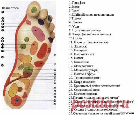 Как укрепить ЗДОРОВЬЕ с помощью массажа стоп!