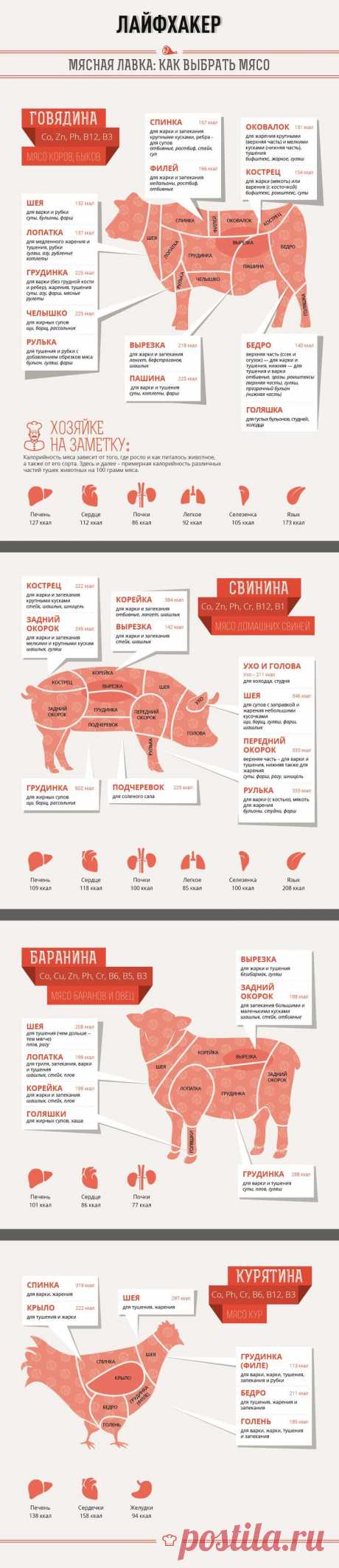 (1) ИНФОГРАФИКА: Мясная лавка – как выбрать мясо - Лайфхакер | инфографика