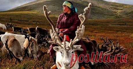 Удивительные факты о Монголии — Интересные факты