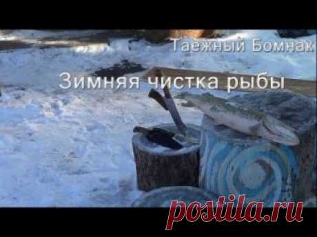 Как почистить замёрзшую рыбу. Эвенкийский способ [HD] 🐠 How to clean frozen fish