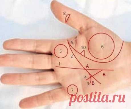Как можно погадать? Знаки на ладони и их значение хиромантия. Толкование редких знаков на ладони и расшифровка их влияния на судьбу. Хиромантия, знаки на руке и их значение в судьбе каждого человека 100% Гадания и предсказания Появление редких символов на ладони – не случайно. Они отражают важные события в жизни человека, которые могут радикально поменять судьбу. Как можно погадать?