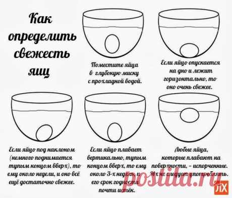 Как определить свежесть яиц?