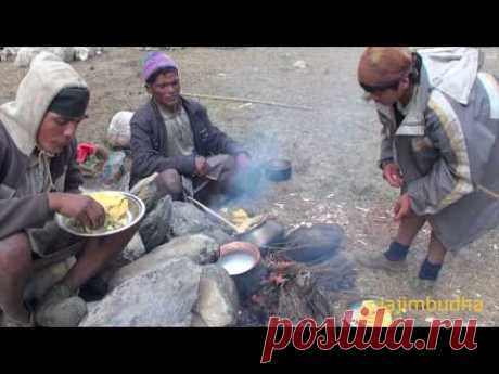 shepherd family having lunch || sheep farm || nepali shepherd || pastoral life ||