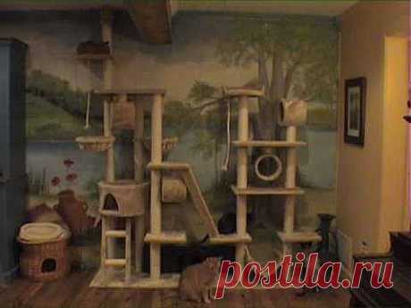 Time-lapse of cats on big cat tree - YouTube