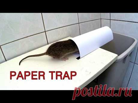 paper mouse trap