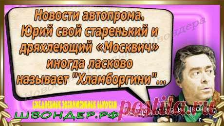 Новости от дядьки Швондера, классный анекдот, смешная фраза, веселая фенечка, смешной каламбур, известные афоризмы, смех да и только, забавные картинки, сложный юмор, непонятные анекдоты, цитаты из интернета, необычное развлечение, Швондер говорит, Шариков, Собачье сердце, улыбка до ушей, эксклюзивный выпуск новостей, ржака, потеха, фарс, наколка, проделка, шутка, юмор, анекдоты в картинках, юмор в картинках, свежие приколы, фенечка, смешная фишка, улыбка, ржачка, интересное в сети, смешок, смех