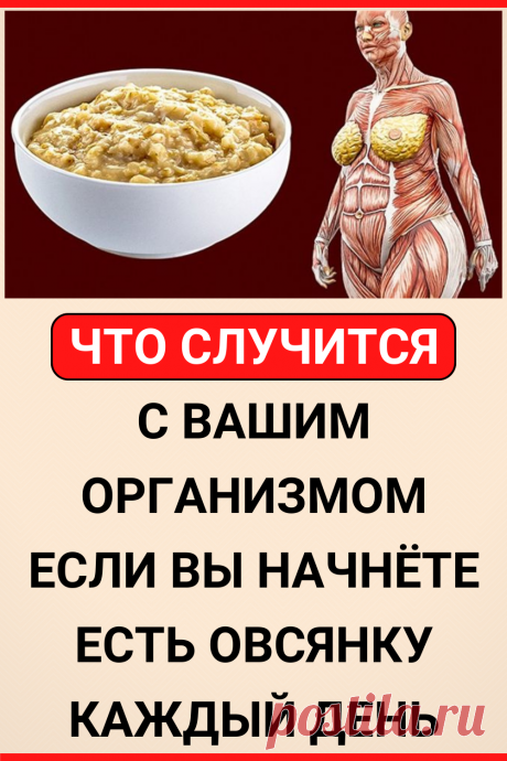 Что случится с вашим организмом, если вы начнете есть овсянку каждый день
#здоровье #здоровое_питание #полезное_питание #пп #овсянка #полезные_советы #жизненные_советы