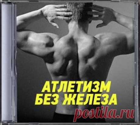 CD-диск Х-бойцовые техники &quot;100% победы&quot;