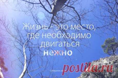 Жизнь - это место, где необходимо двигаться нежно