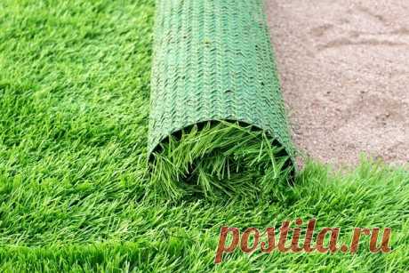 Как выбрать газонную траву для дачи - обзоры, рекоменации, рейтинг